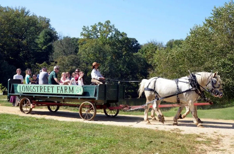 Holmdel Harvest Festival