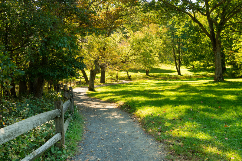 Autumn scene